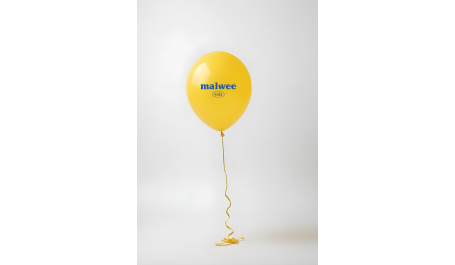 Balao Sortido c/haste 2025 - Malwee Kids